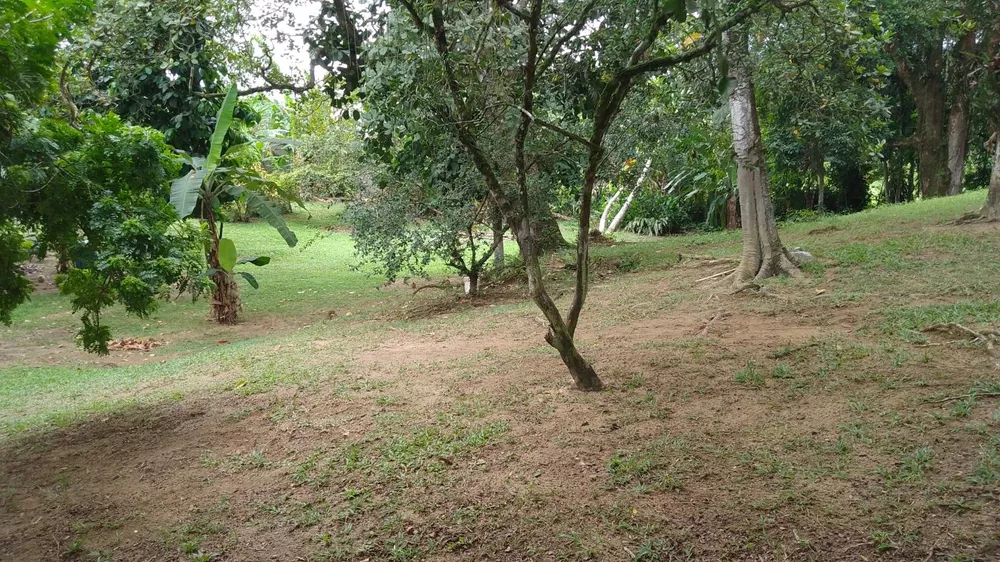 Sítio, 10000 m² - Foto 21