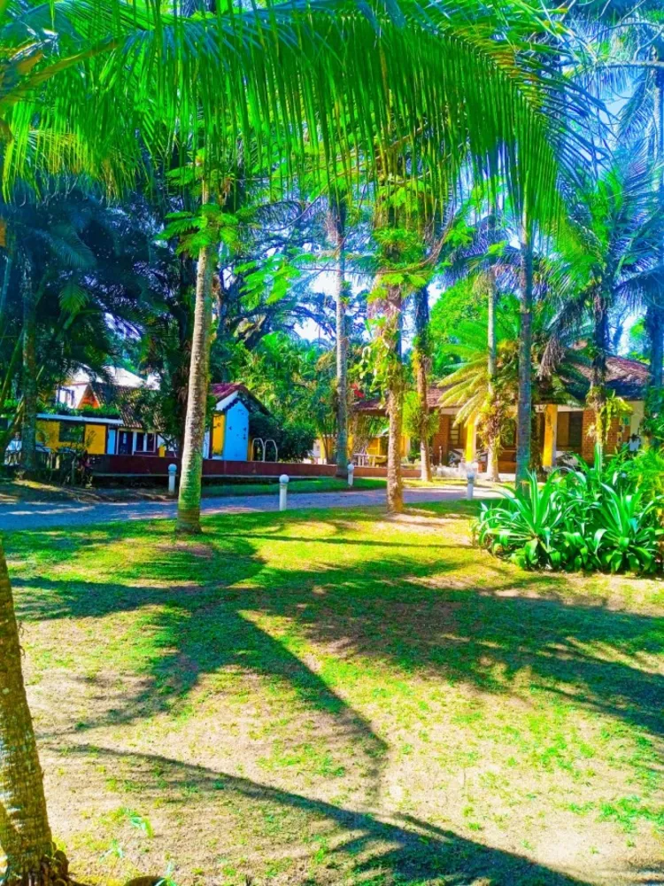 Prédio Inteiro - Foto 29