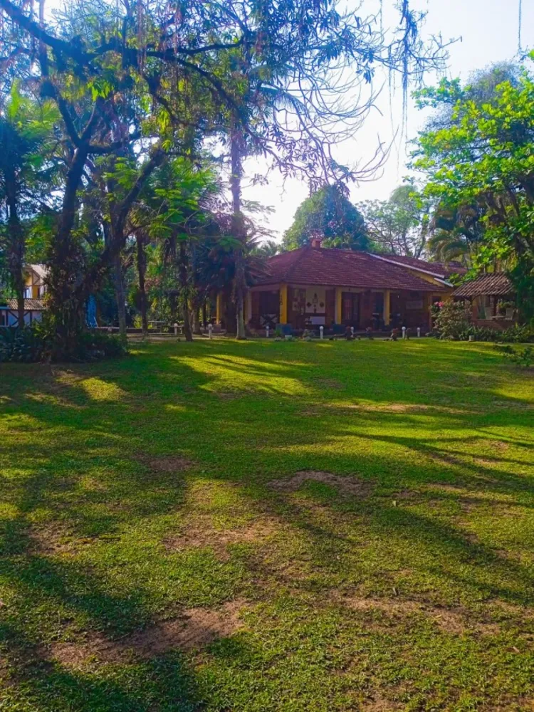 Prédio Inteiro - Foto 34