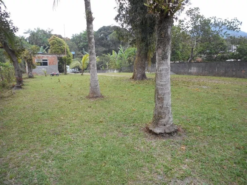 Chácara, 3 quartos, 1000 m² - Foto 15
