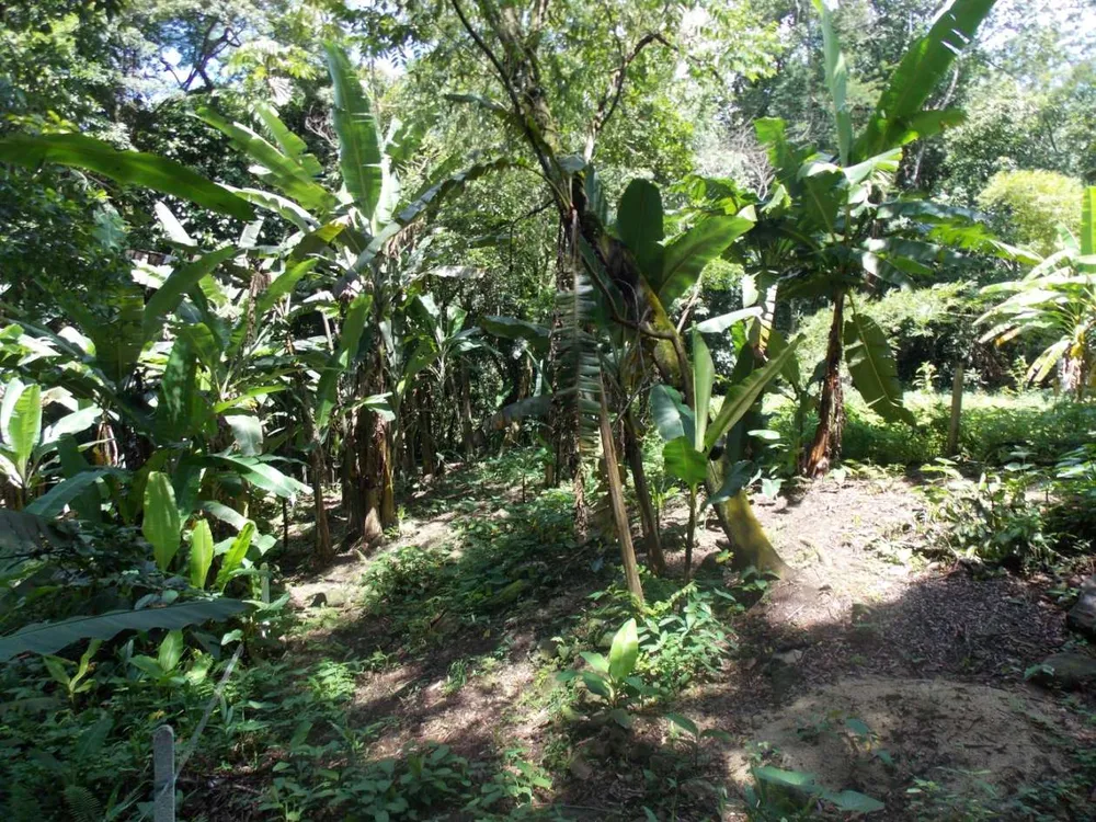 Terreno, 350 m² - Foto 4