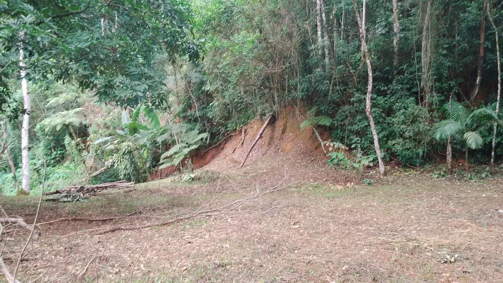 Terreno, 5000 m² - Foto 9