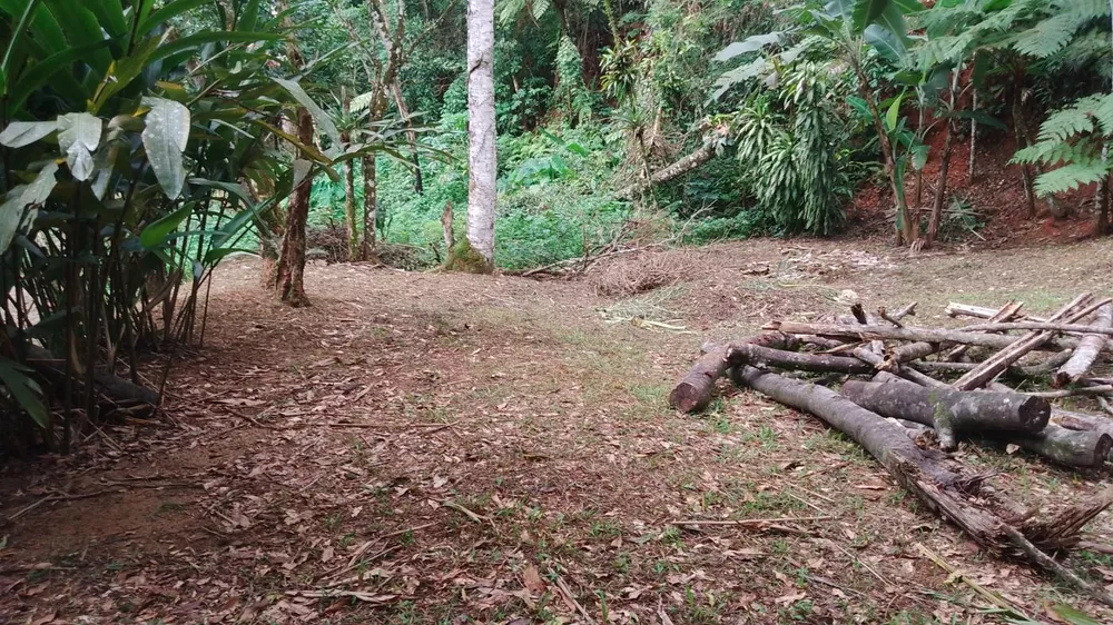 Terreno, 5000 m² - Foto 10