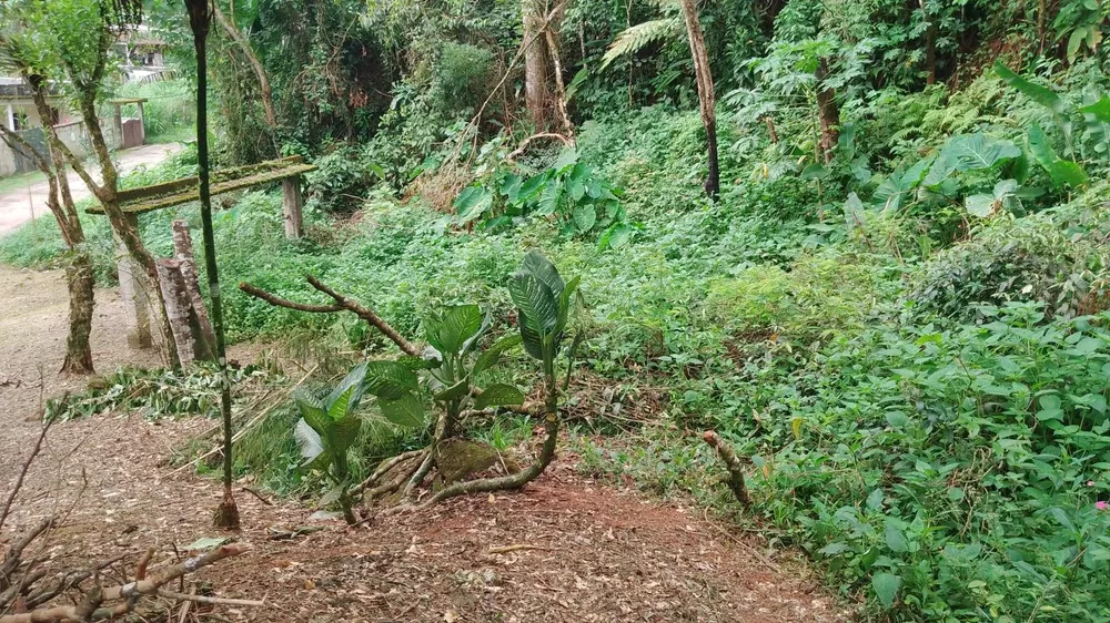 Terreno, 5000 m² - Foto 12