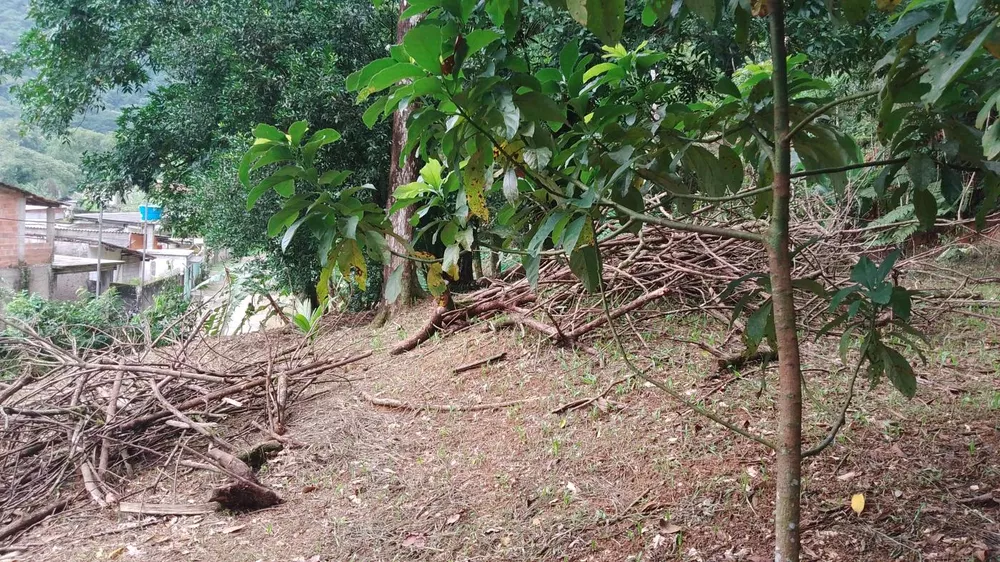 Terreno, 5000 m² - Foto 7