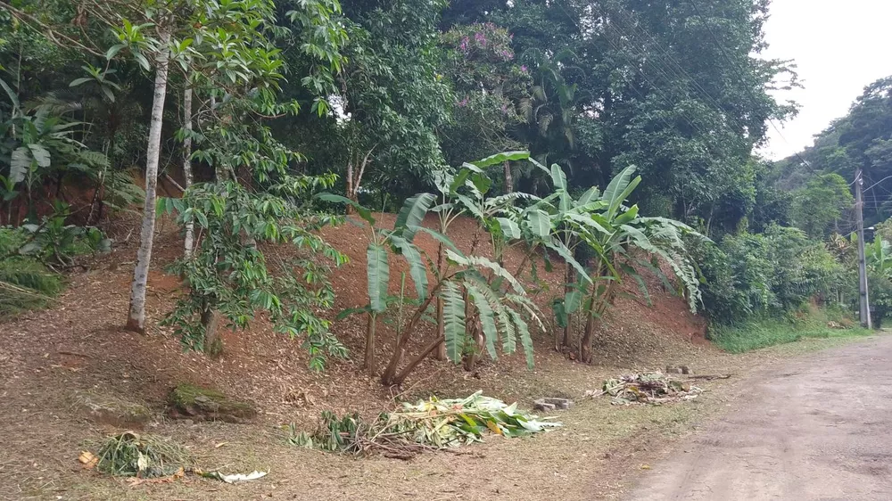 Terreno, 5000 m² - Foto 13