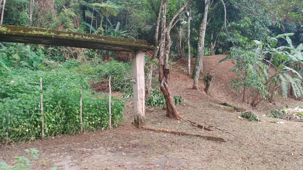 Terreno, 5000 m² - Foto 1