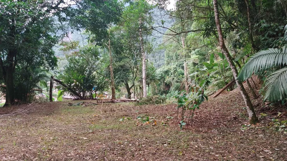 Terreno, 5000 m² - Foto 2