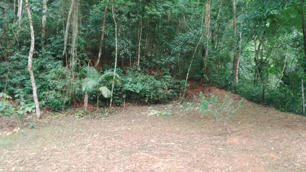 Terreno, 5000 m² - Foto 5