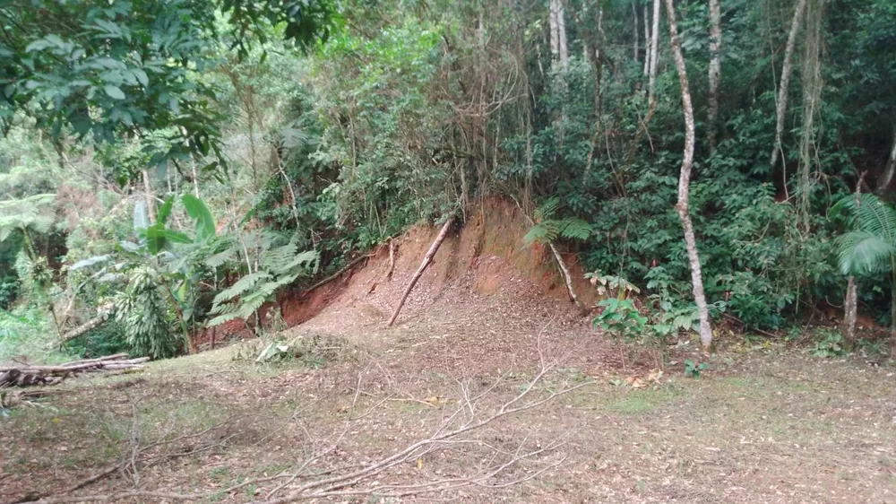 Terreno, 5000 m² - Foto 6