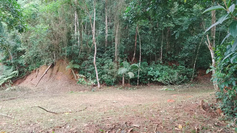 Terreno, 5000 m² - Foto 8