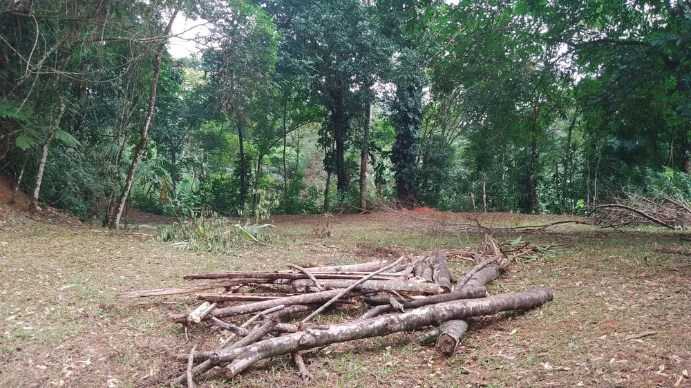 Terreno, 5000 m² - Foto 11