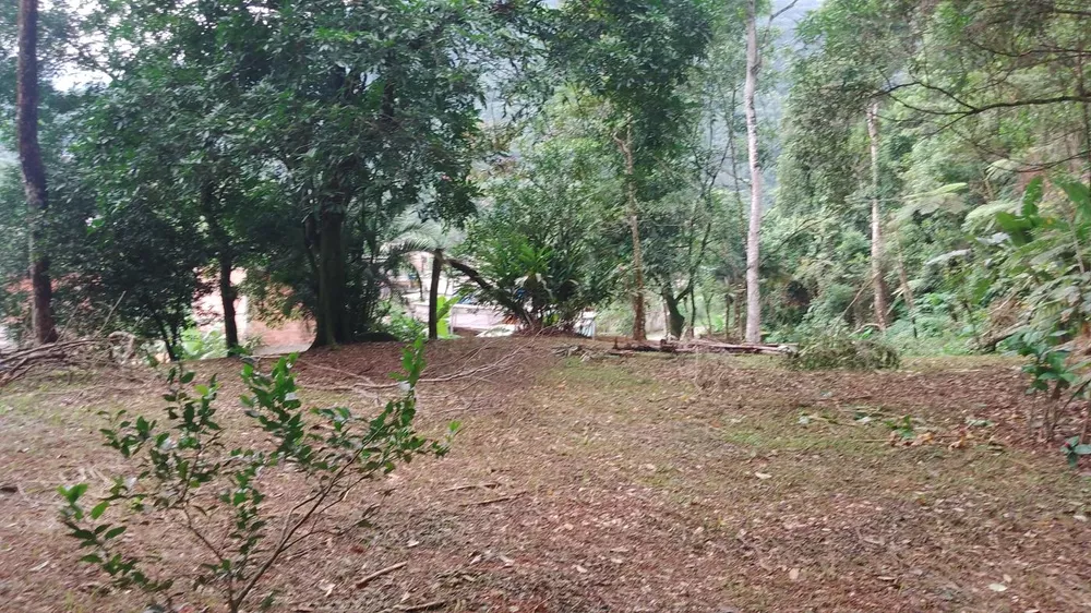 Terreno, 5000 m² - Foto 3