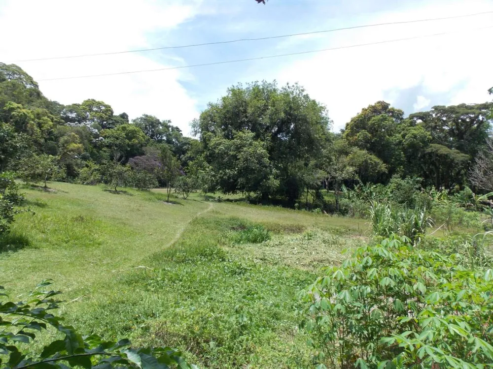 Sítio, 3 quartos, 4 hectares - Foto 28