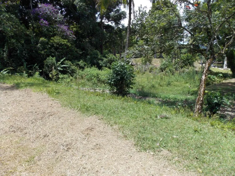 Sítio, 3 quartos, 4 hectares - Foto 39