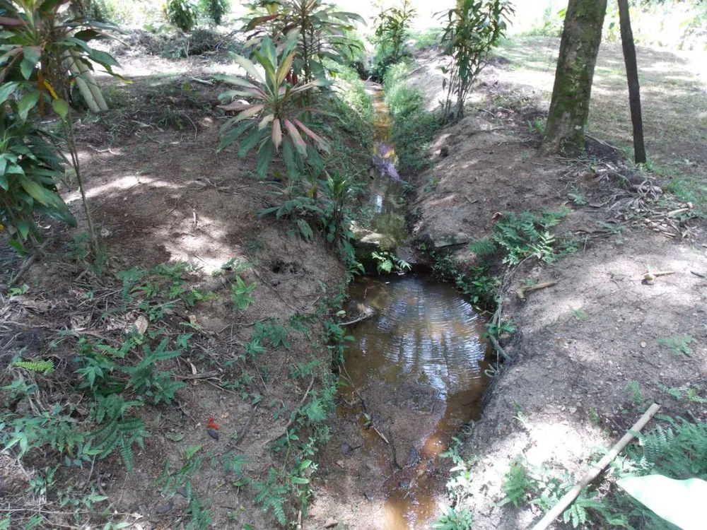 Sítio, 3 quartos, 4 hectares - Foto 44