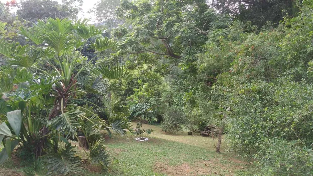 Casa de Condomínio - Foto 19