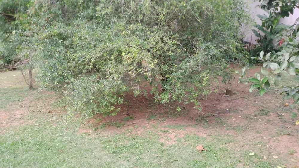 Casa de Condomínio - Foto 30