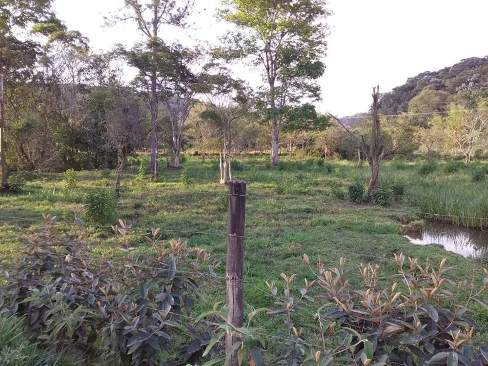 Fazenda, 12 hectares - Foto 20