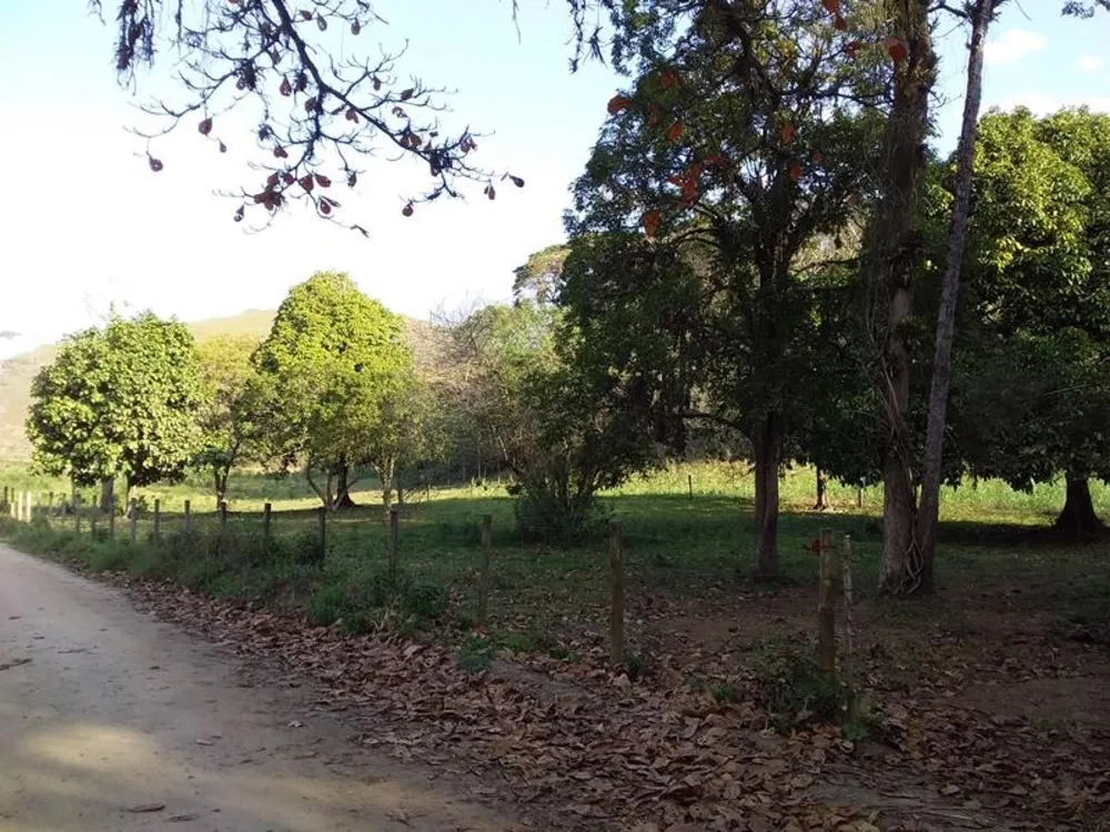 Fazenda, 12 hectares - Foto 18