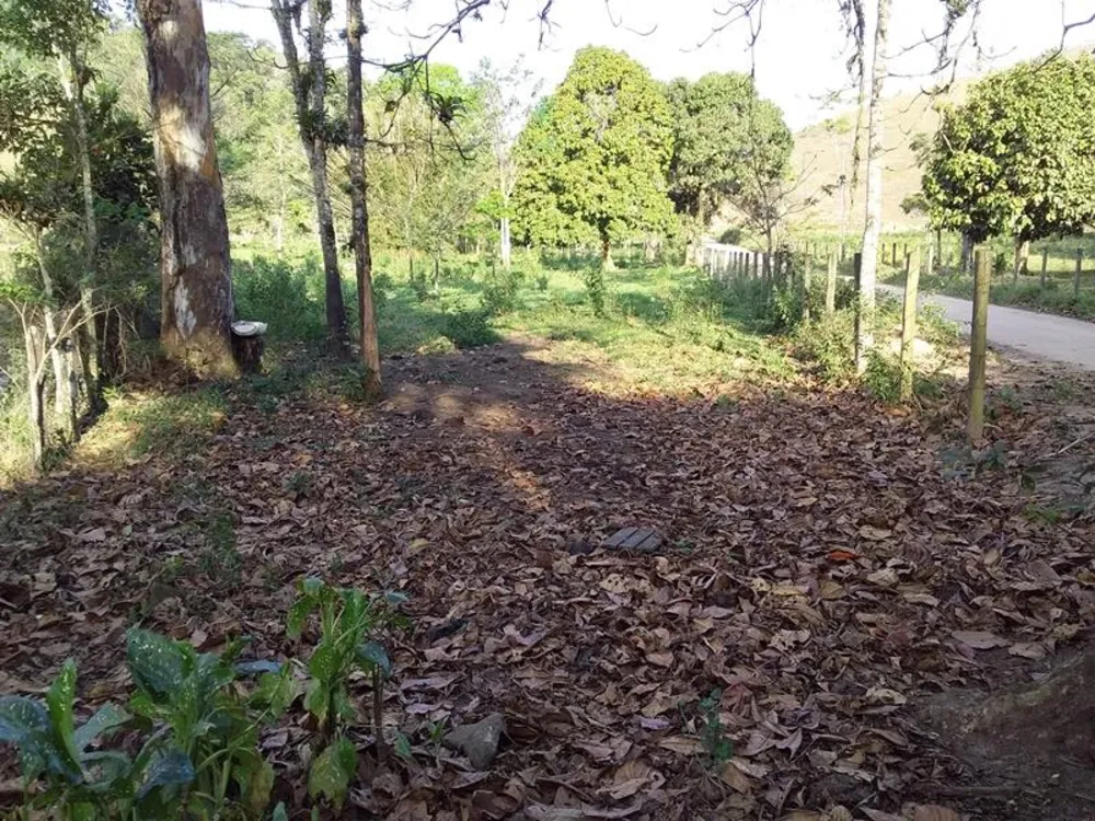 Fazenda, 12 hectares - Foto 15