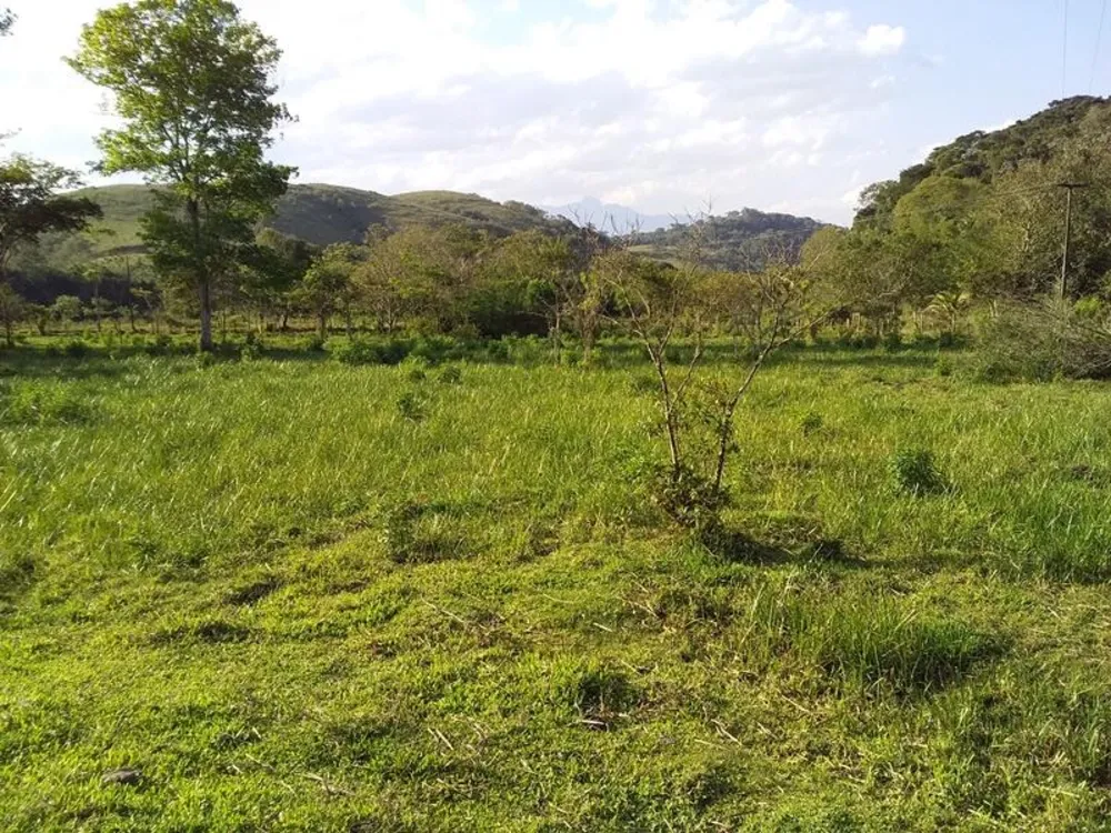Fazenda, 12 hectares - Foto 8