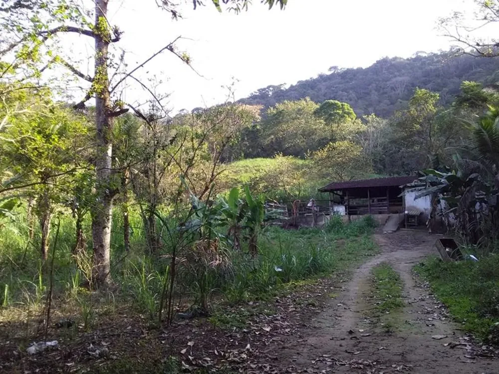 Fazenda, 12 hectares - Foto 14