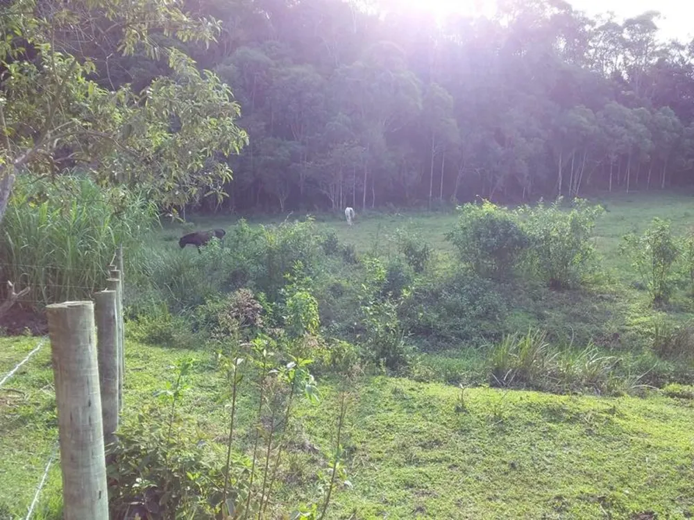 Fazenda, 12 hectares - Foto 5