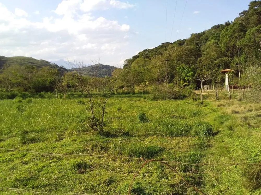 Fazenda, 12 hectares - Foto 6