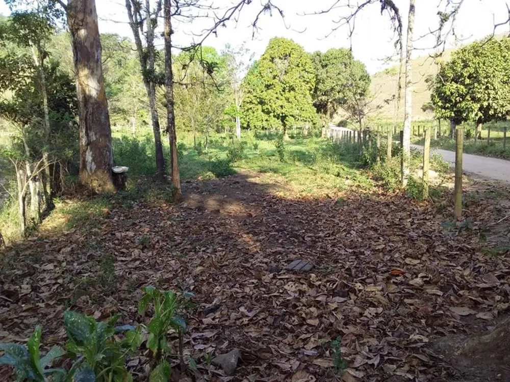 Fazenda, 12 hectares - Foto 16