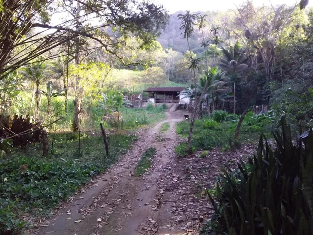 Fazenda, 12 hectares - Foto 12