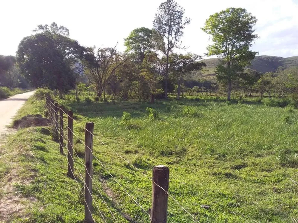 Fazenda, 12 hectares - Foto 7