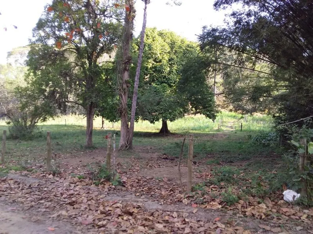 Fazenda, 12 hectares - Foto 17