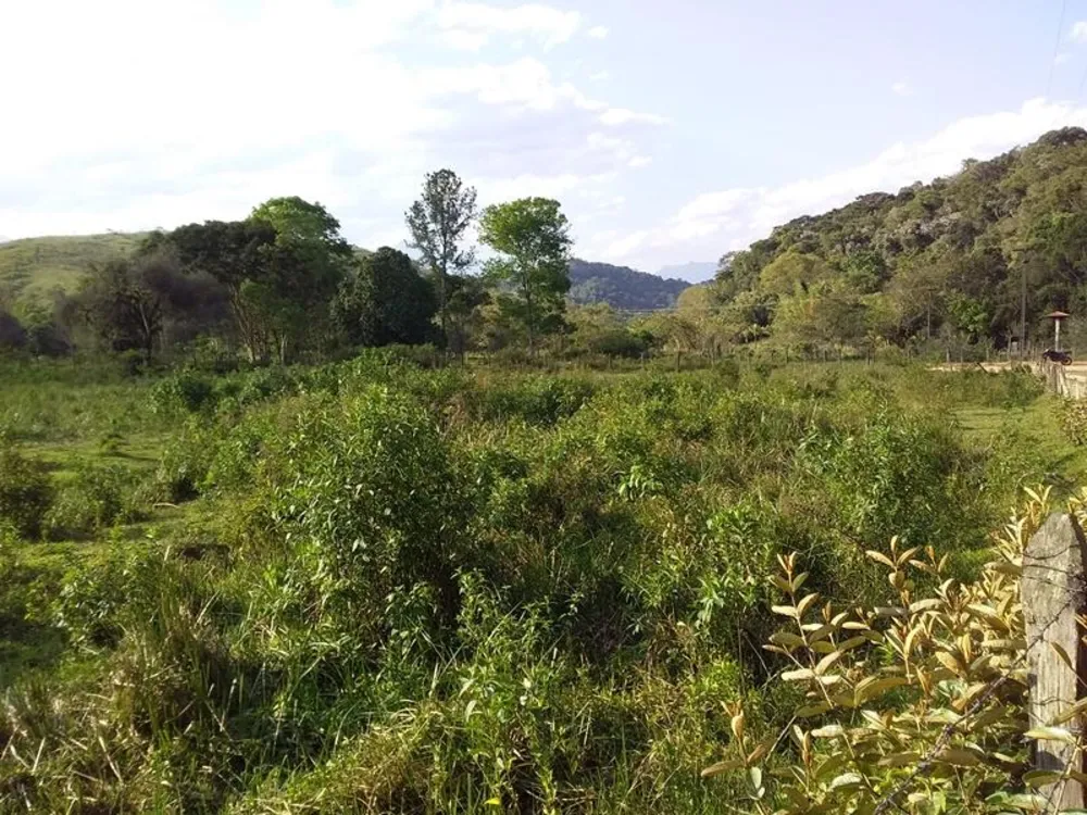 Fazenda, 12 hectares - Foto 3