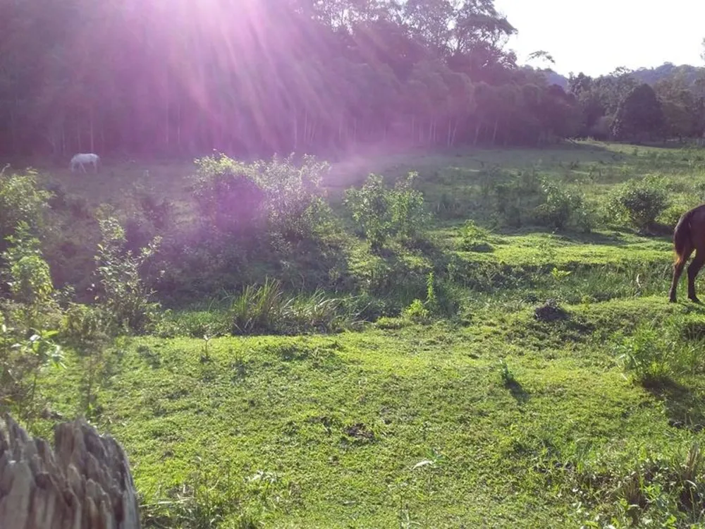 Fazenda, 12 hectares - Foto 2