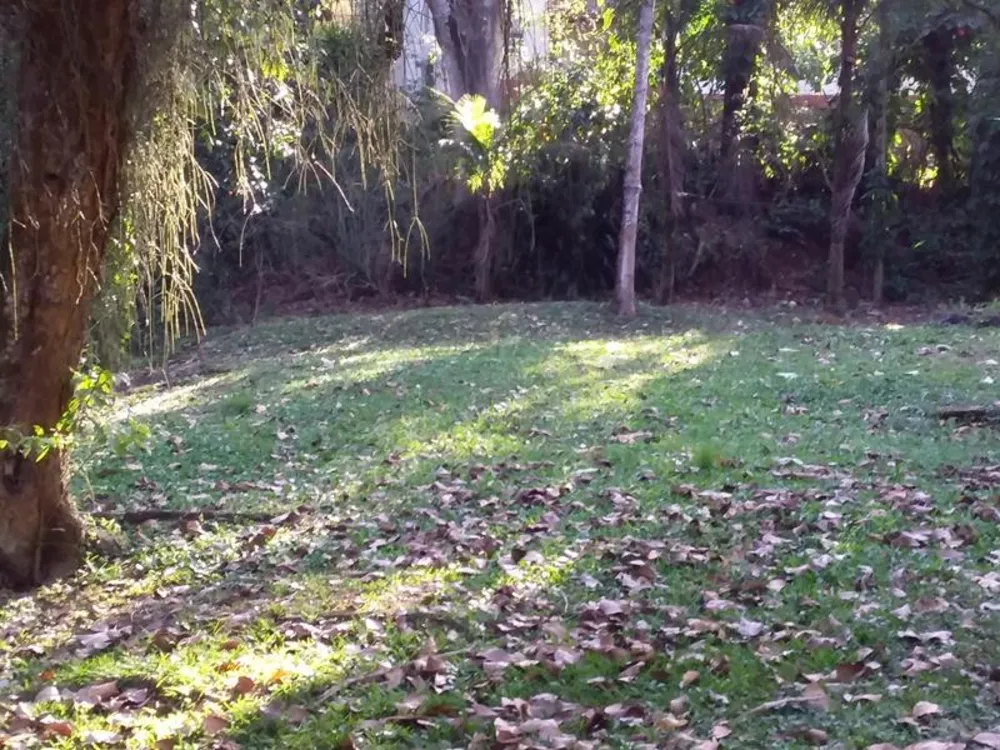 Fazenda, 12 hectares - Foto 11