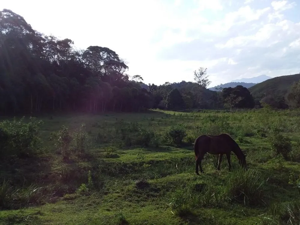 Fazenda, 12 hectares - Foto 4