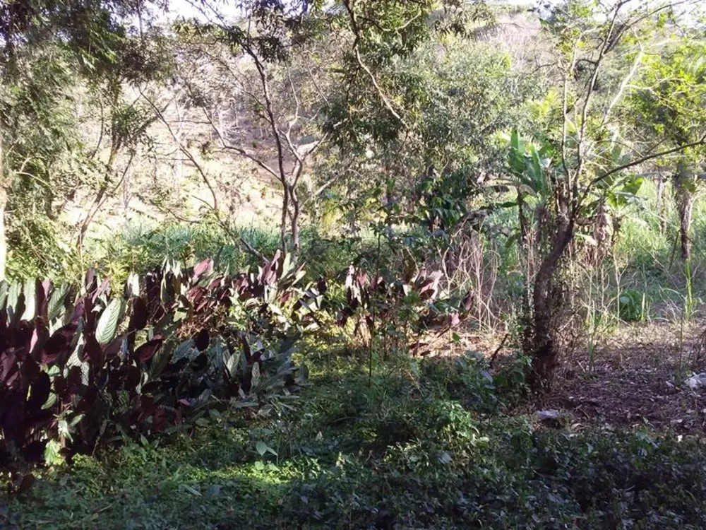 Fazenda, 12 hectares - Foto 13