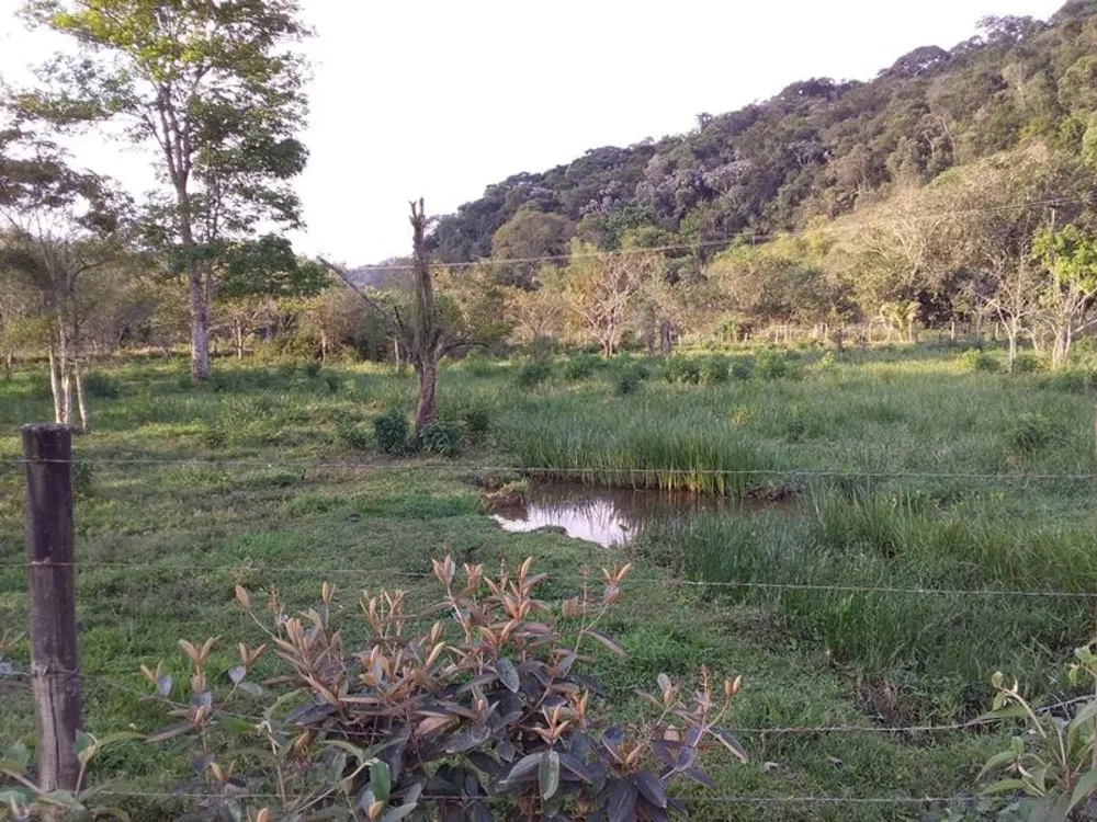 Fazenda, 12 hectares - Foto 19