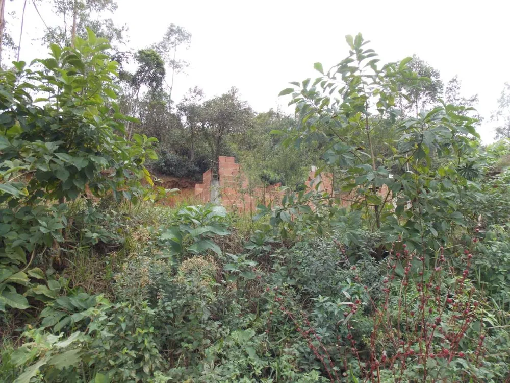 Terreno, 288 m² - Foto 6
