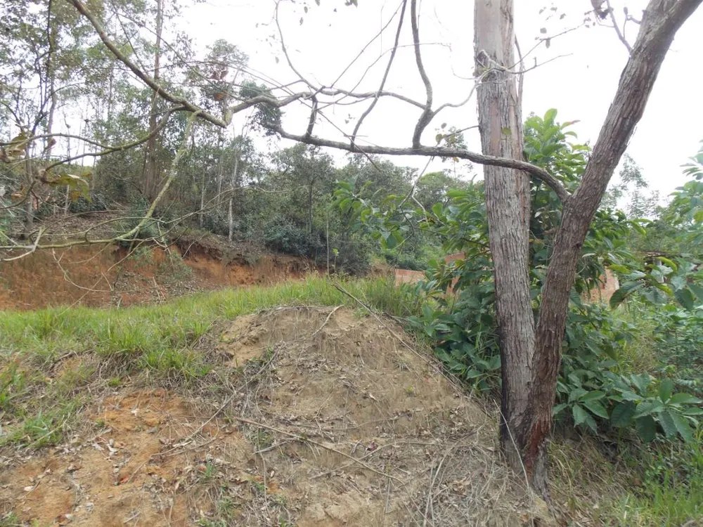 Terreno, 288 m² - Foto 7