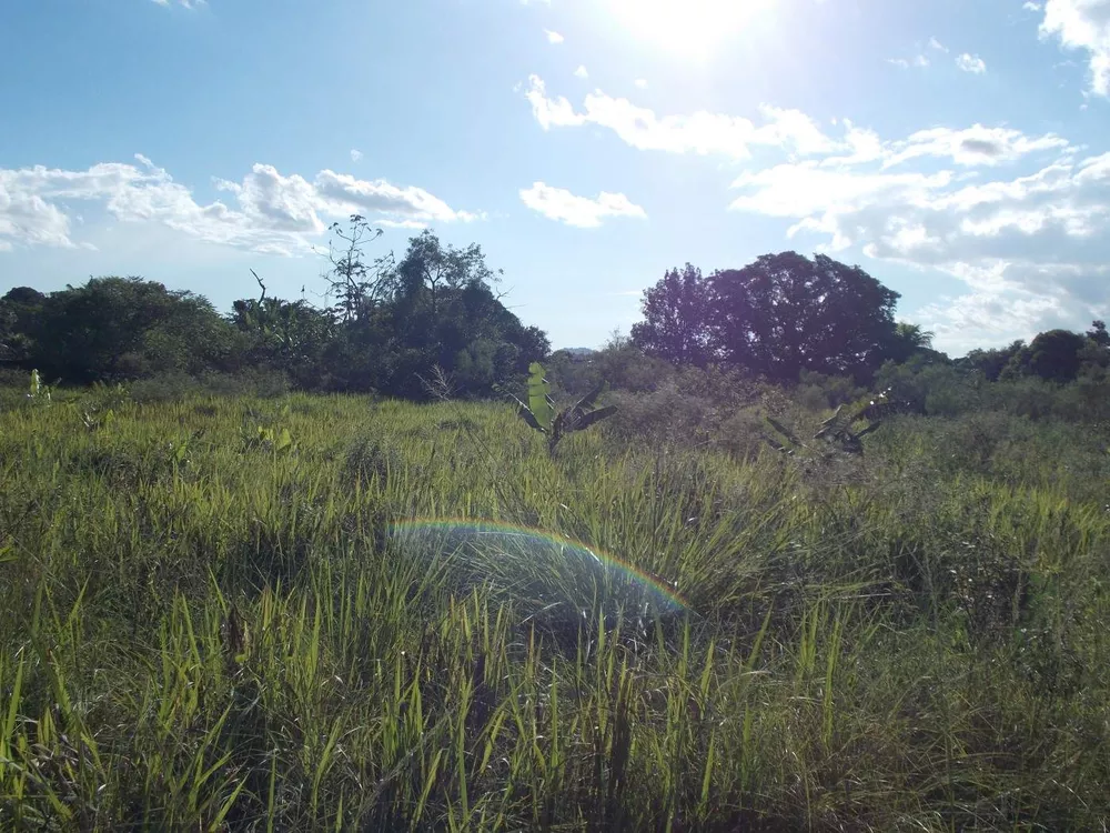 Terreno, 6800 m² - Foto 16