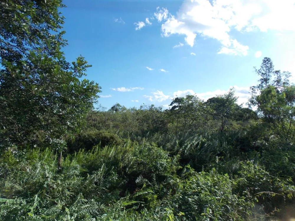 Terreno, 6800 m² - Foto 10