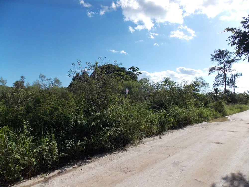 Terreno, 6800 m² - Foto 11