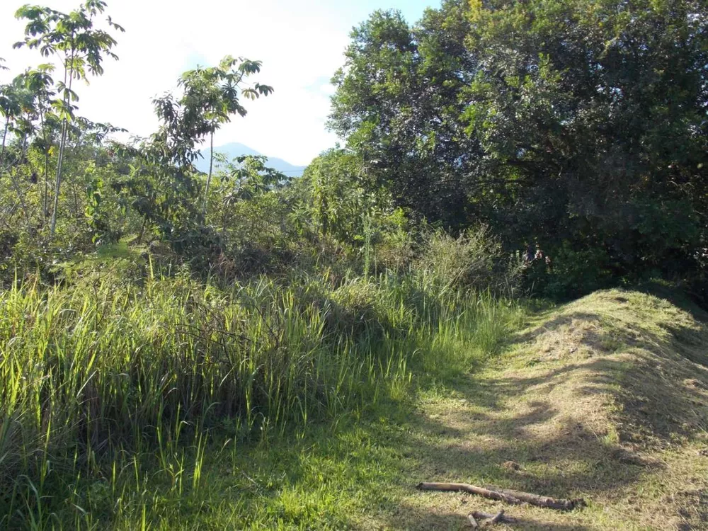 Terreno, 6800 m² - Foto 13