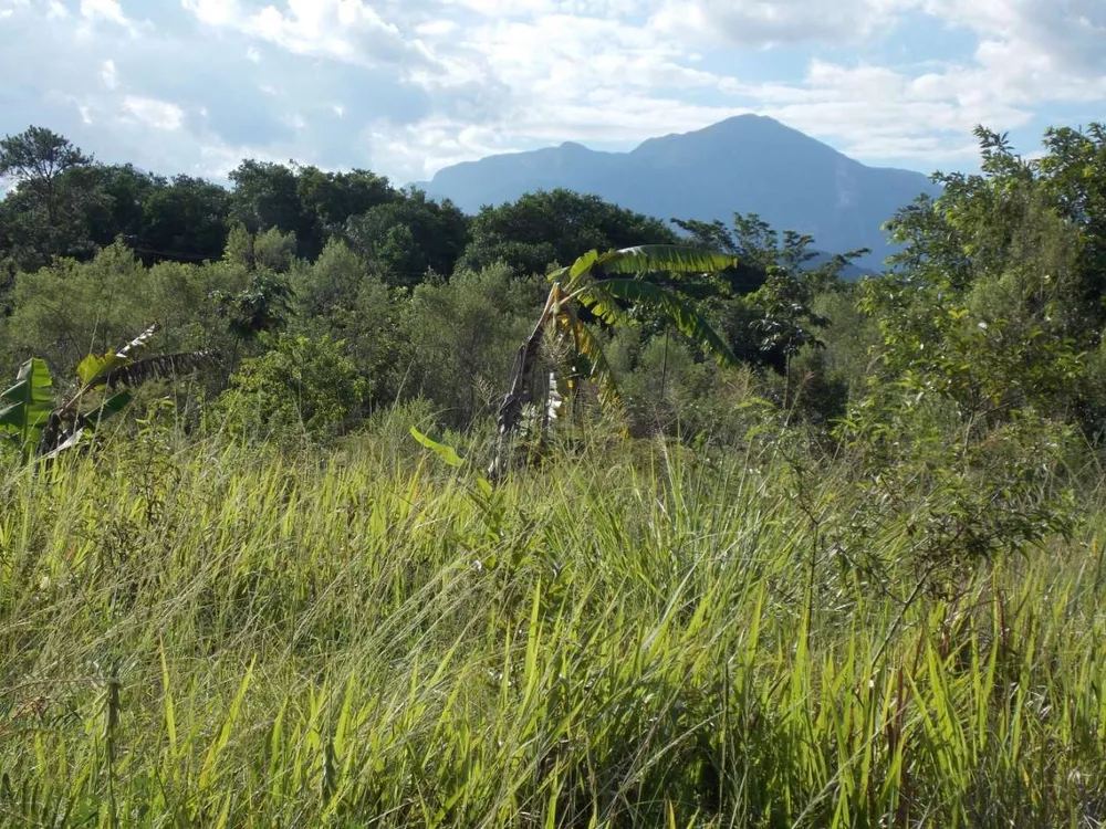 Terreno, 6800 m² - Foto 20