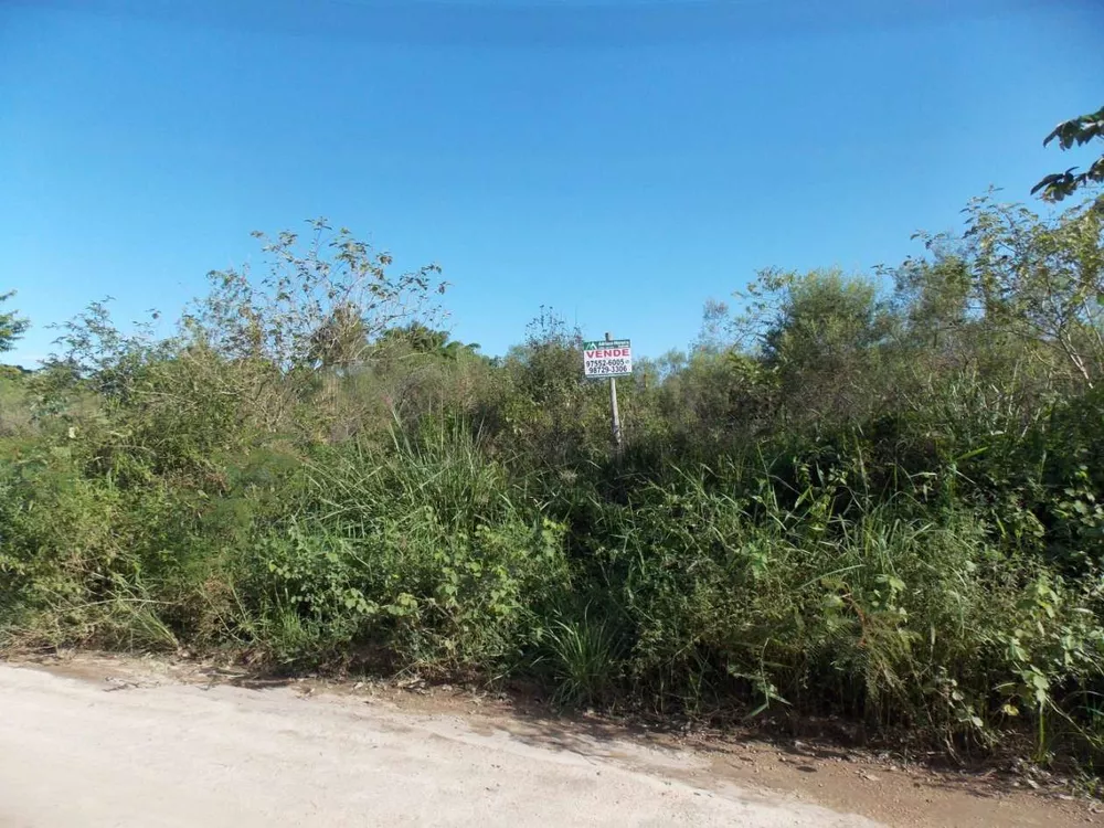 Terreno, 6800 m² - Foto 9