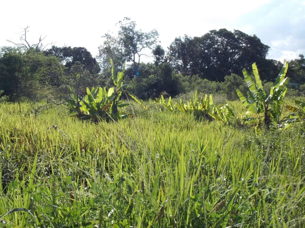 Terreno, 6800 m² - Foto 21