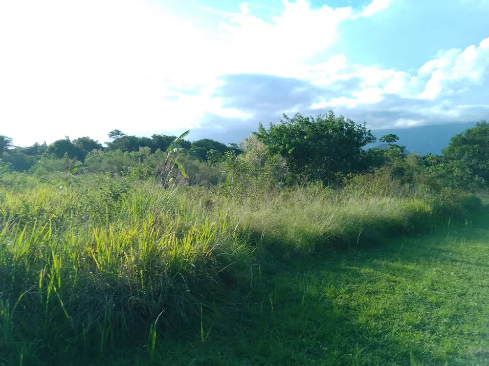 Terreno, 6800 m² - Foto 4