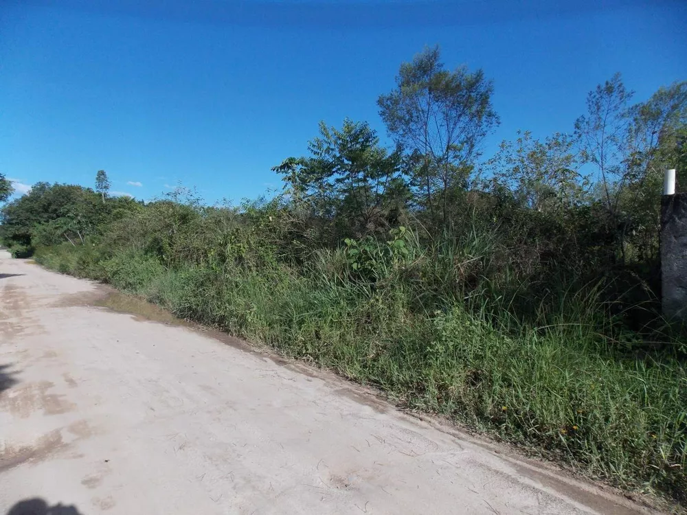 Terreno, 6800 m² - Foto 7